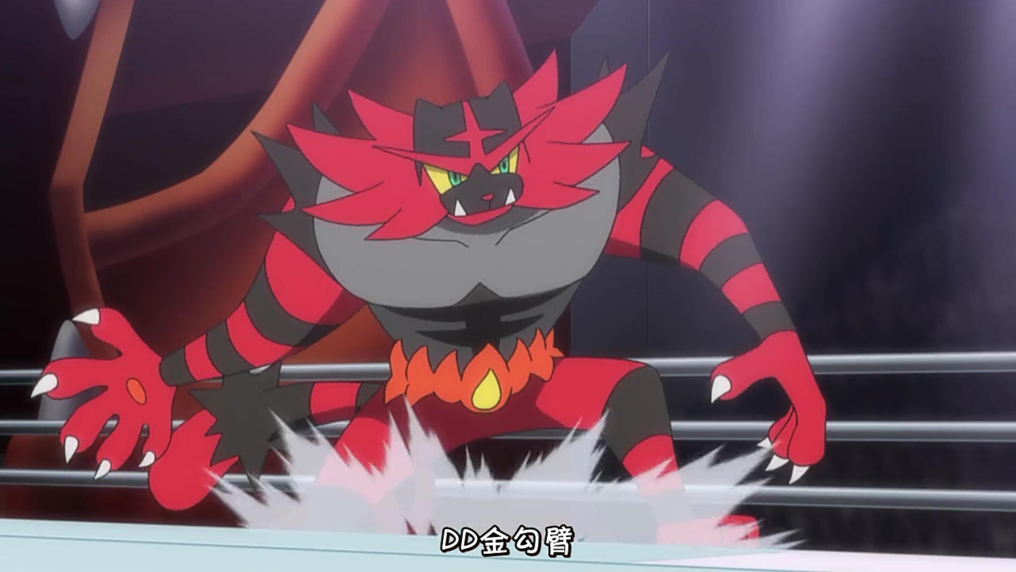 神奇宝贝小智的炎热喵会不会进化呢不过能学到新招式也不错