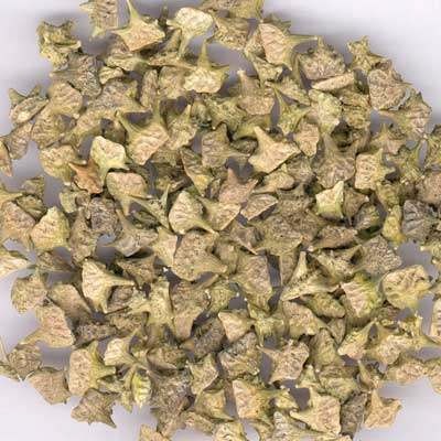 这种野草浑身是刺,小孩当做暗器防身,但它却是一味良药