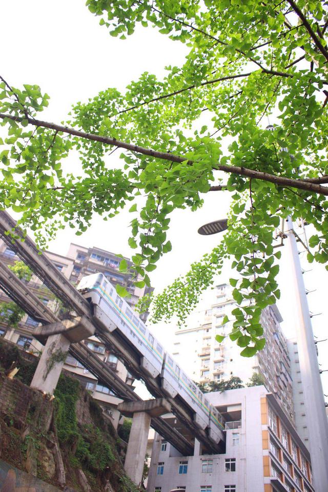 开挂的重庆人,在居民楼里建轨道,列车穿墙而过竟完好无损