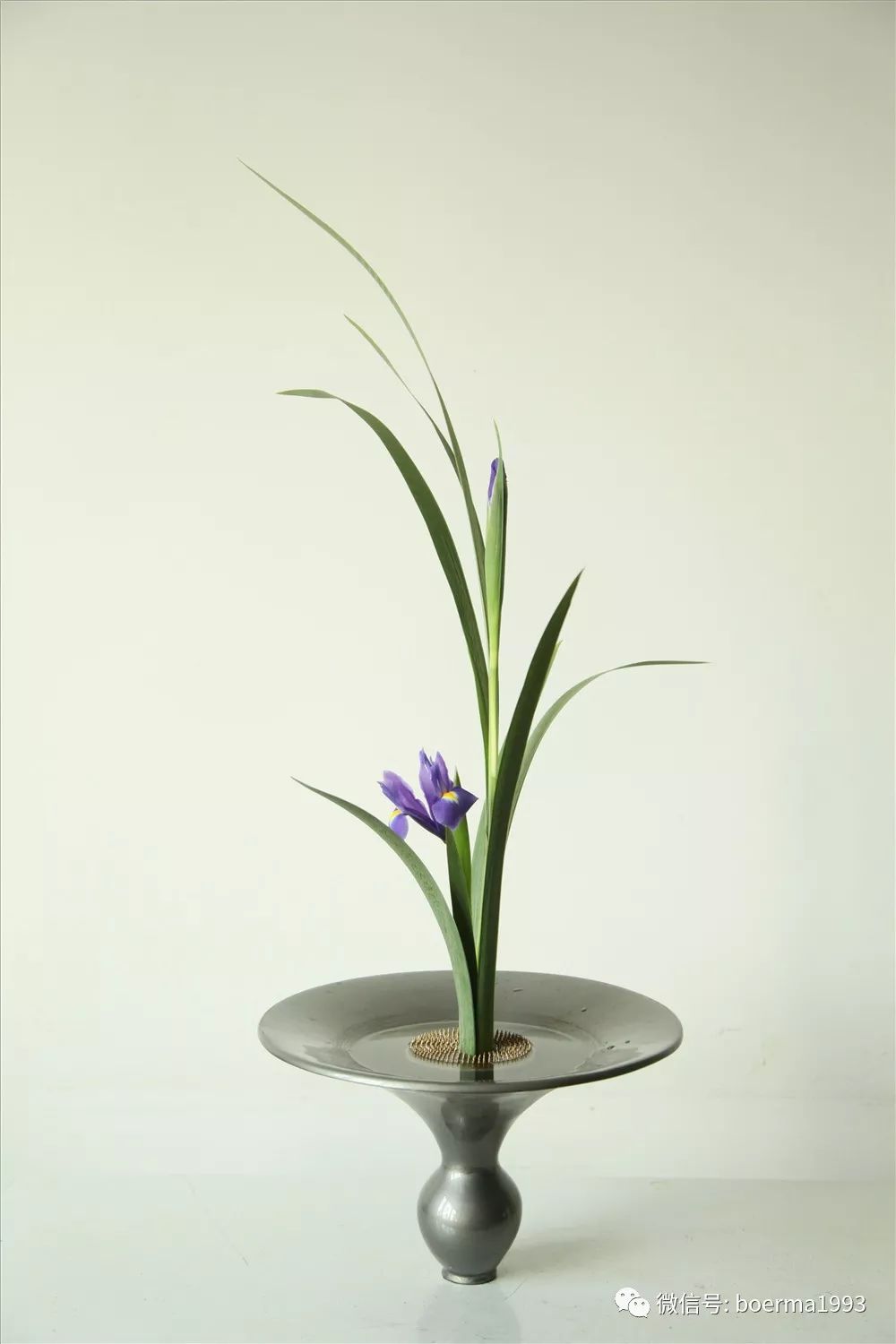 减法的艺术-花艺与生活|自然美|花艺|减法_新浪新闻