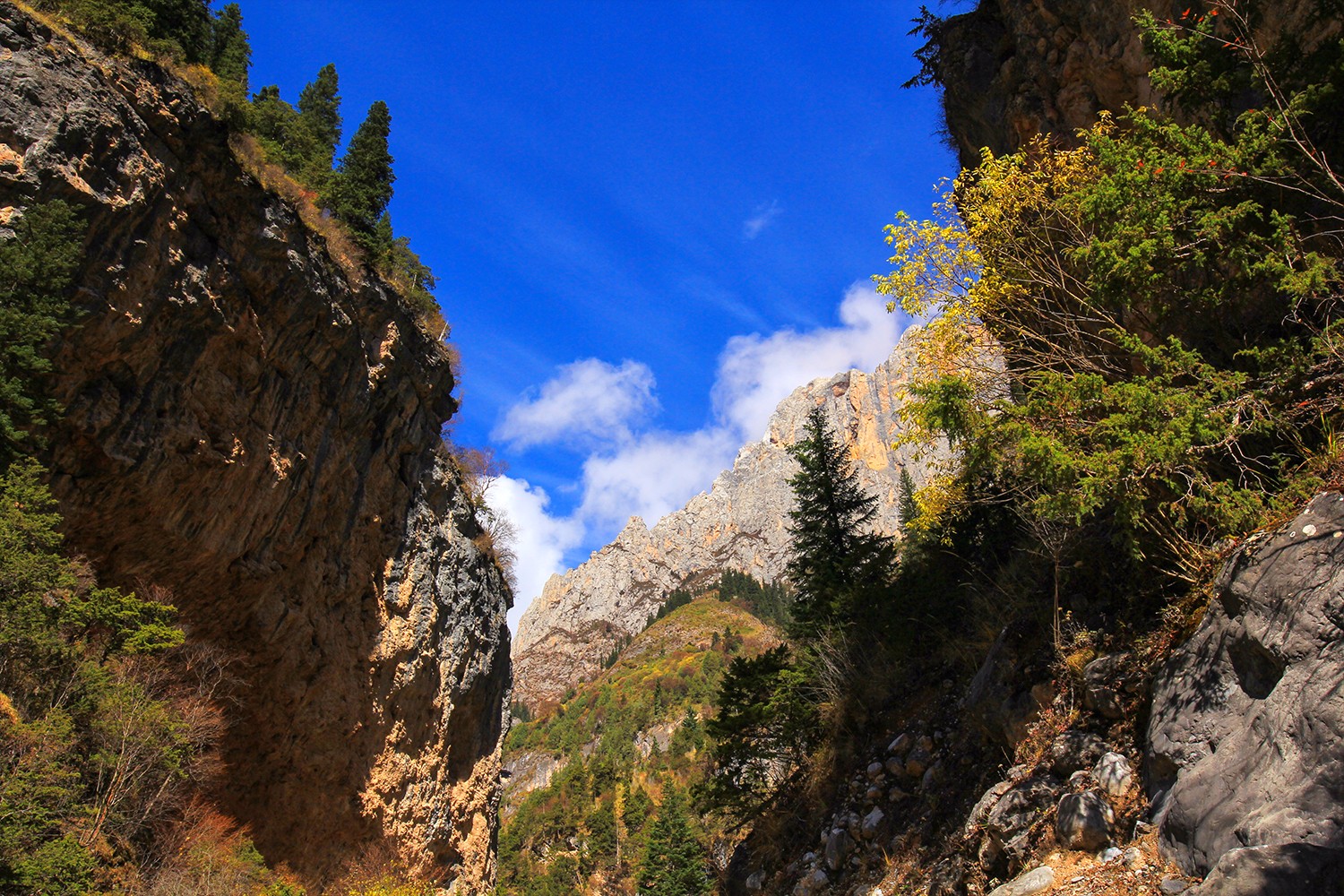 壮美雄奇的扎尕那大峡谷