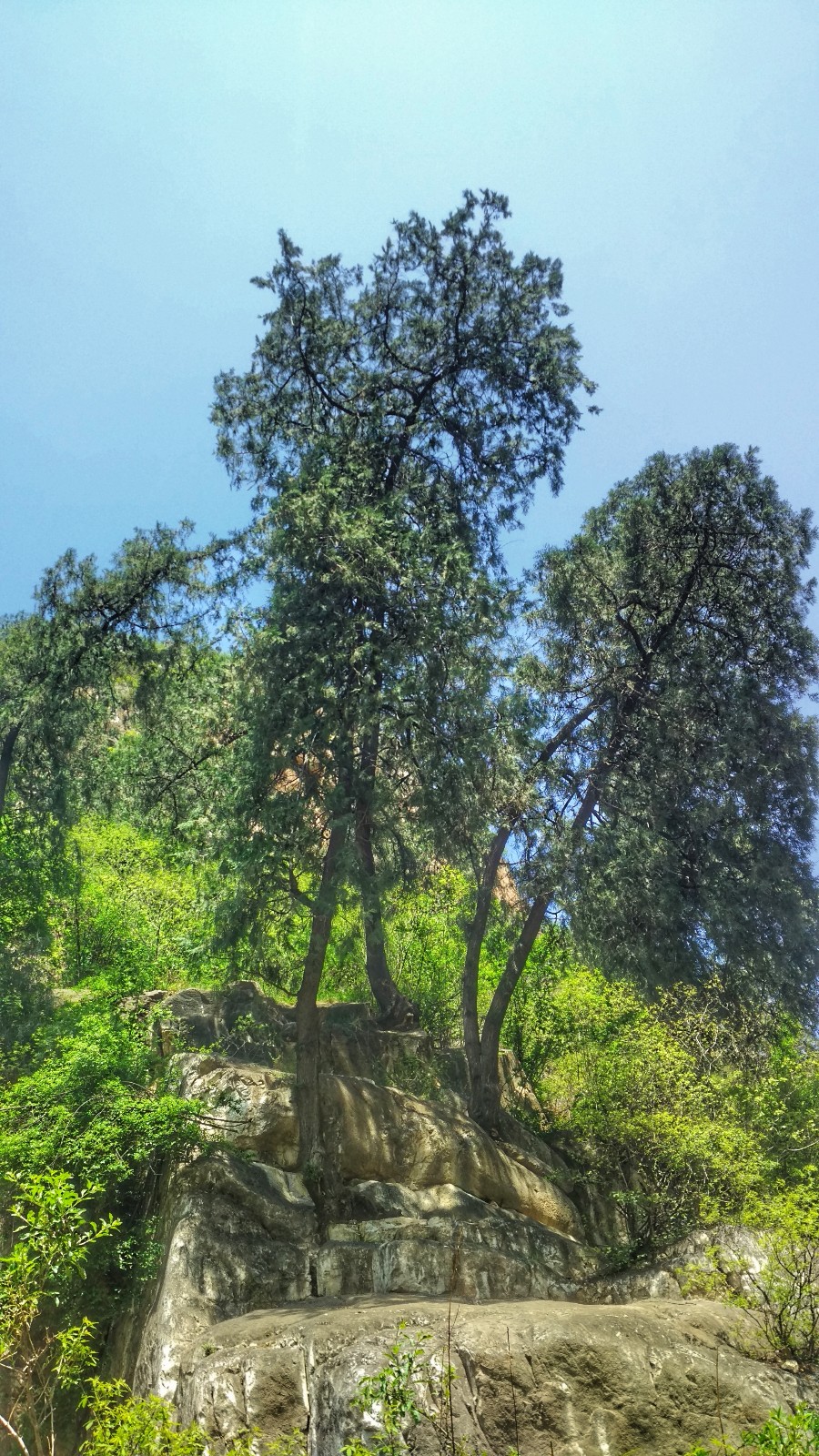 陕西省乾县八景之一的龙岩寺景区实拍,美不胜收!