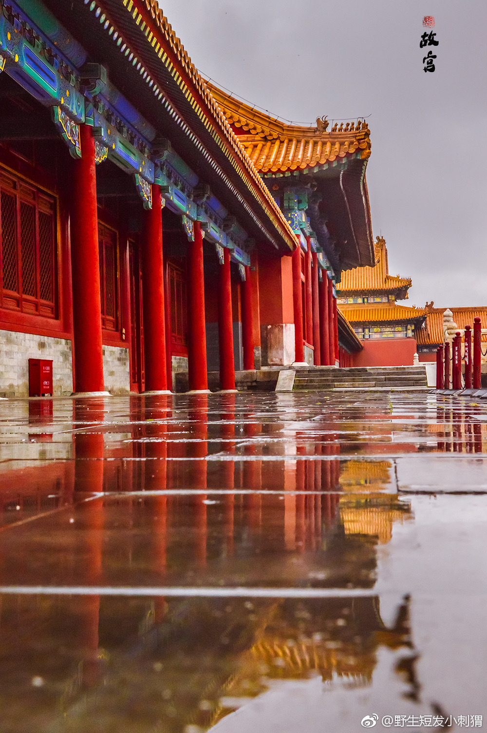 深门疾雨过,箫疏台殿凉.雨后的故宫,真是太美了