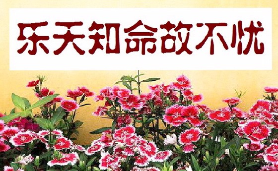 乐天知命故不忧9.缺陷——缺陷是一种另类的美丽十全十美是一种幻想.