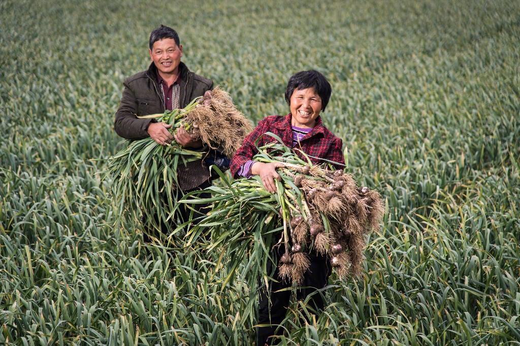 响应国家《乡村振兴战略规划(2018-2022年)》