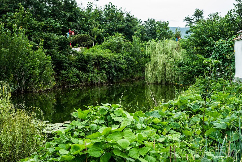山东省旅游特色村潍坊昌乐五图街道响水崖子村
