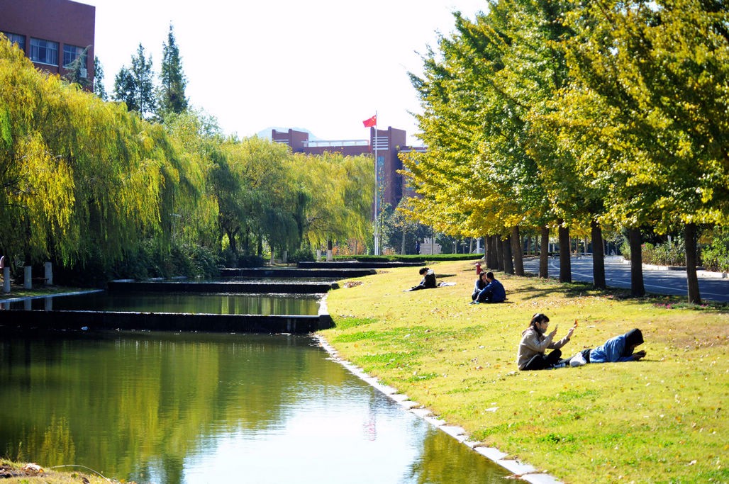 山东科技大学校园到了赏秋最佳时机 美景不亚于专门景区