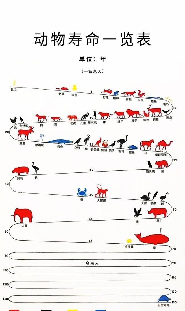 动物寿命大揭秘蟹能活四十年有种动物活不过24小时