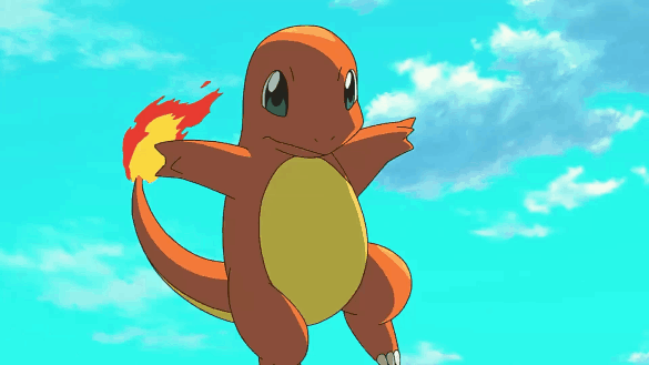 ps:附上一话的投票截图哈,果然还是小火龙人气最旺呢(小编自己选的是