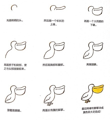 小动物简笔画教程快马起来学