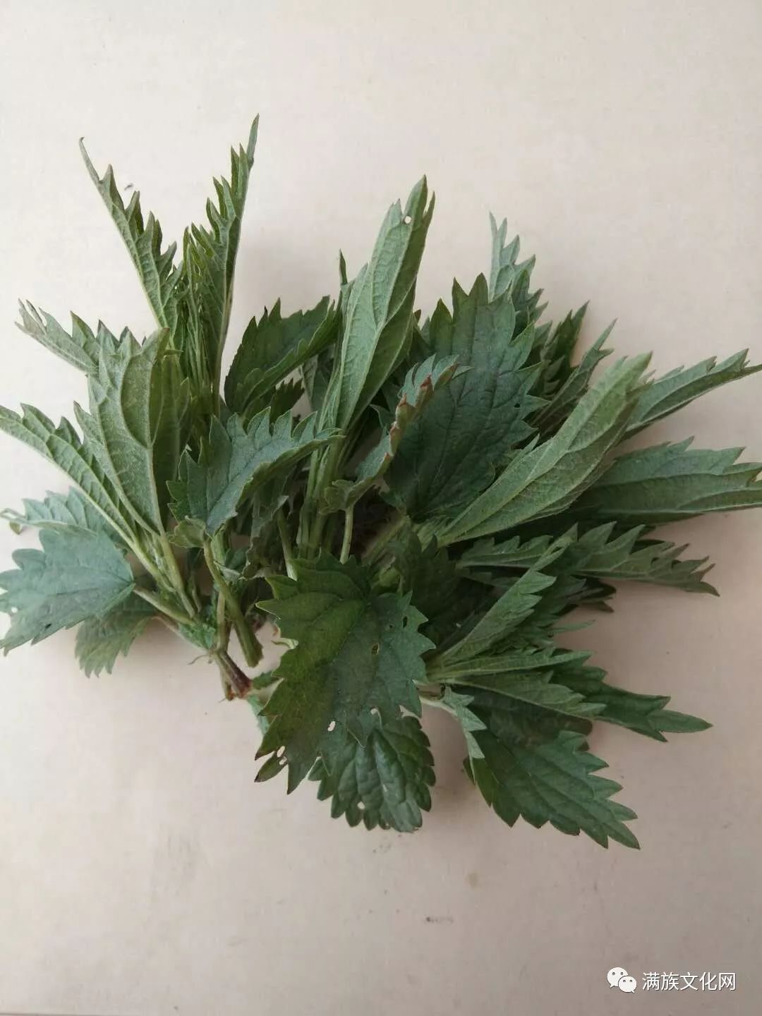 满洲人的野菜美食