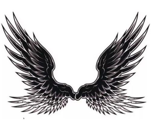 选一对恶魔翅膀测以后你是野蛮女生还是甜美淑女