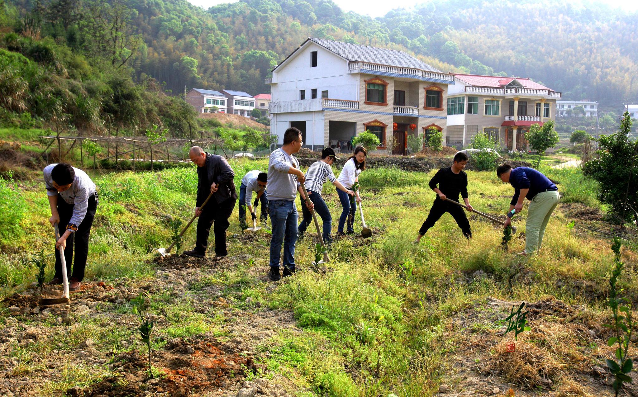 南岳区旅发委精准扶贫种果树助农致富
