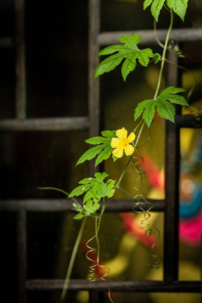 时光旖旎缱绻浮生