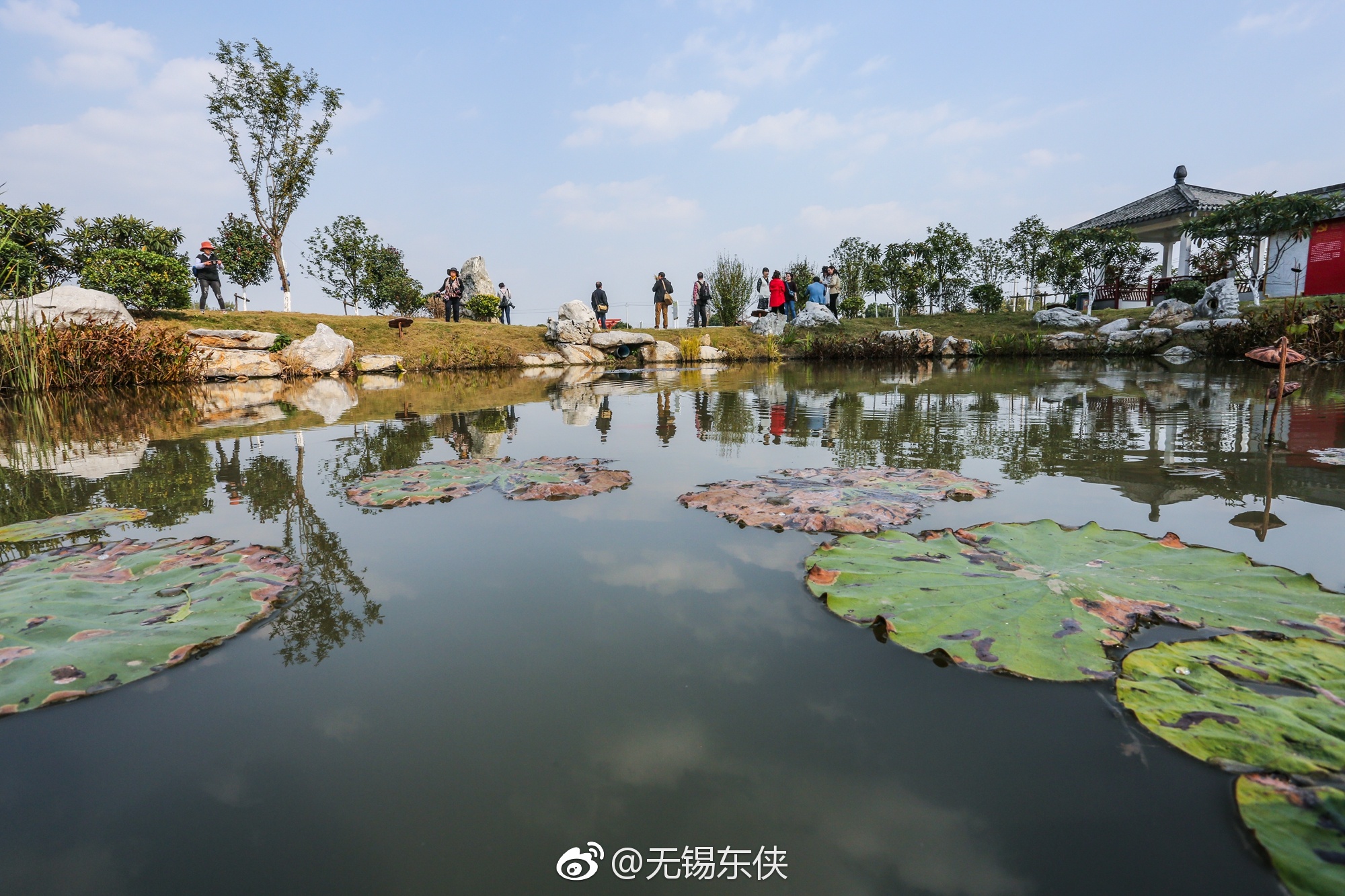 无锡惠山区洛社镇先锋农场以"两学一做"学习教育为契机|农场|先锋