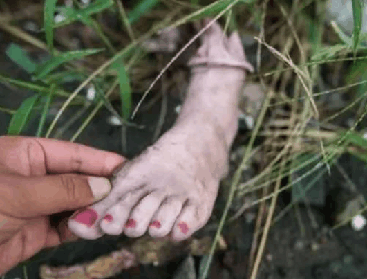 男子河边洗澡发现一只断脚仔细一看男子吓得腿都发软了