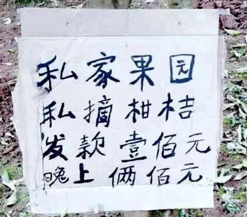 "高水平"标语!一个比一个高,笑掉大牙了