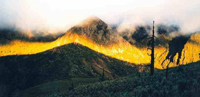 令人毛骨悚然的生命禁区:中国百慕大黑竹沟之谜