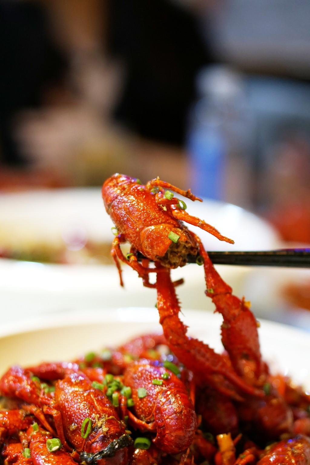 长沙小龙虾 新浪网