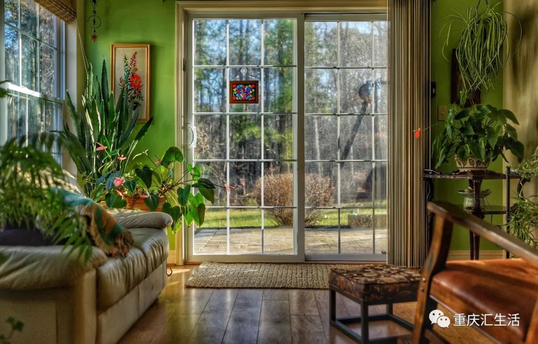 拥有这些ins风网红绿植,隔壁邻居都羡慕哭了!