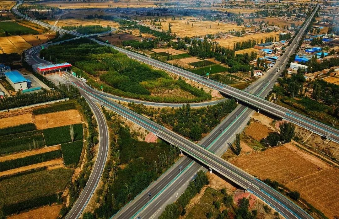 焦点丨银川这个镇子太厉害,种韭菜年产过亿,成西北第一!