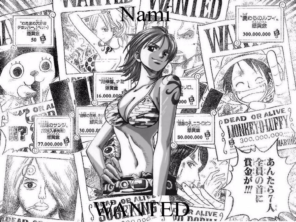 海贼王悬赏系列黑白漫画图集