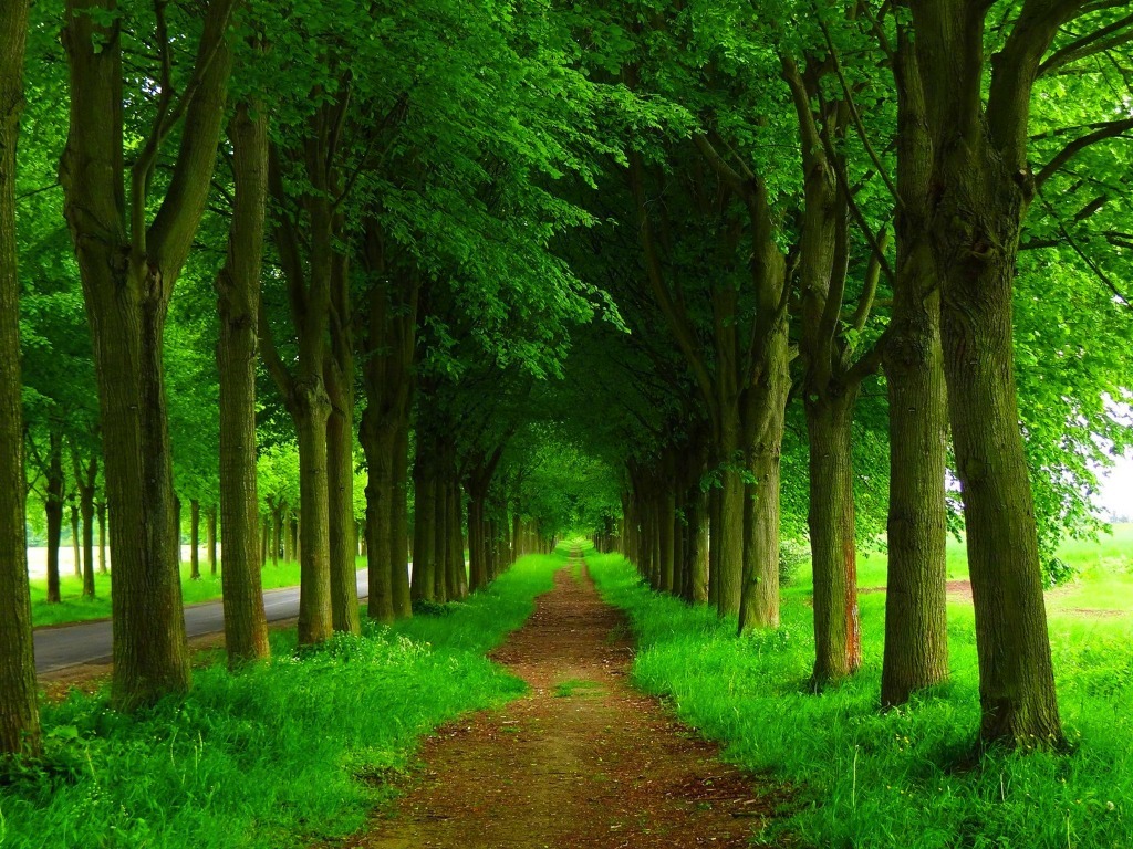 向前走,走过不属于自己的风景,潇洒的,不是唯美而是心情;收获的