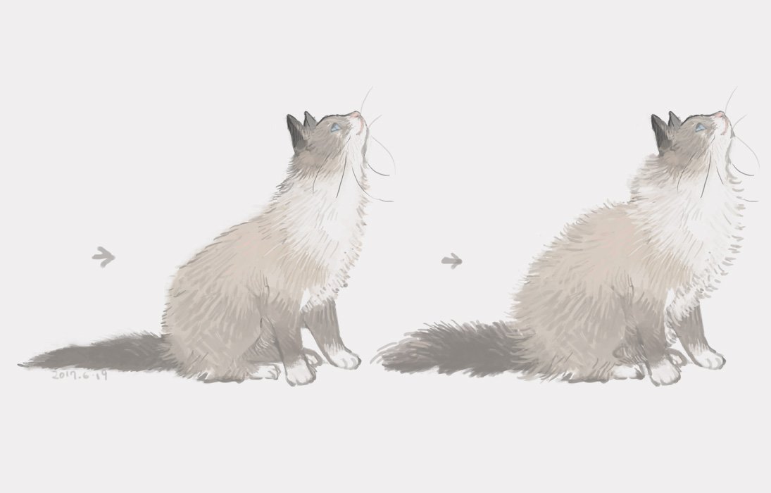 一组猫咪插画日本插画师ねこ助