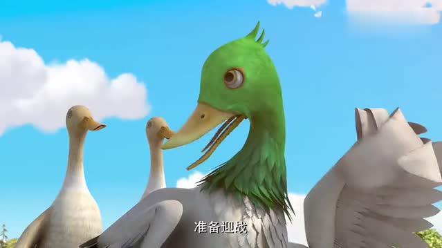 熊出没:稻田鸭大战蝗虫,最后肚子撑得飞不起来