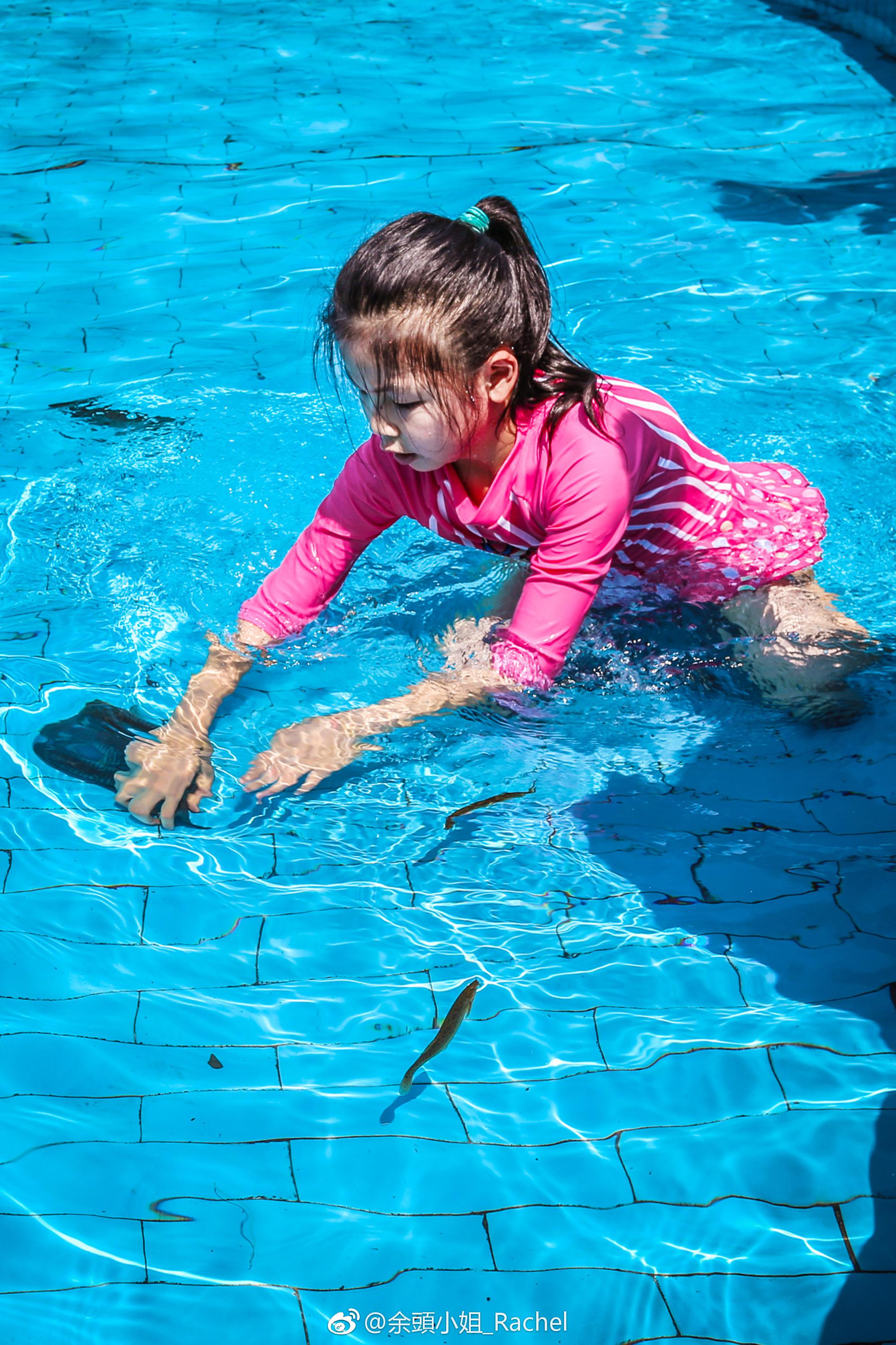 每到周末长沙碧桂园凤凰酒店就会举办亲子抓鱼大赛