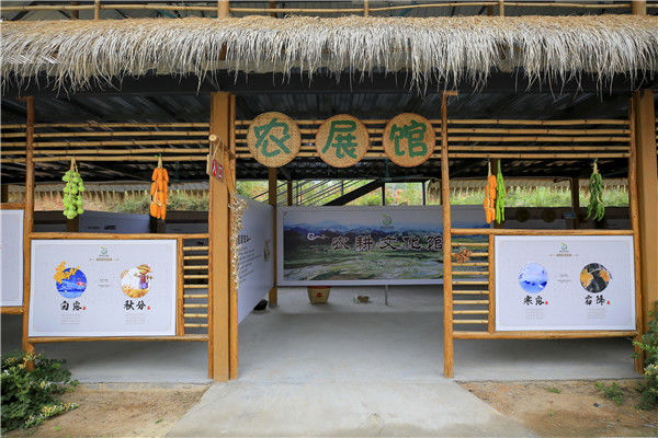 广州花都一个新的农耕园端午开业,她的名字叫集贤湾农耕园