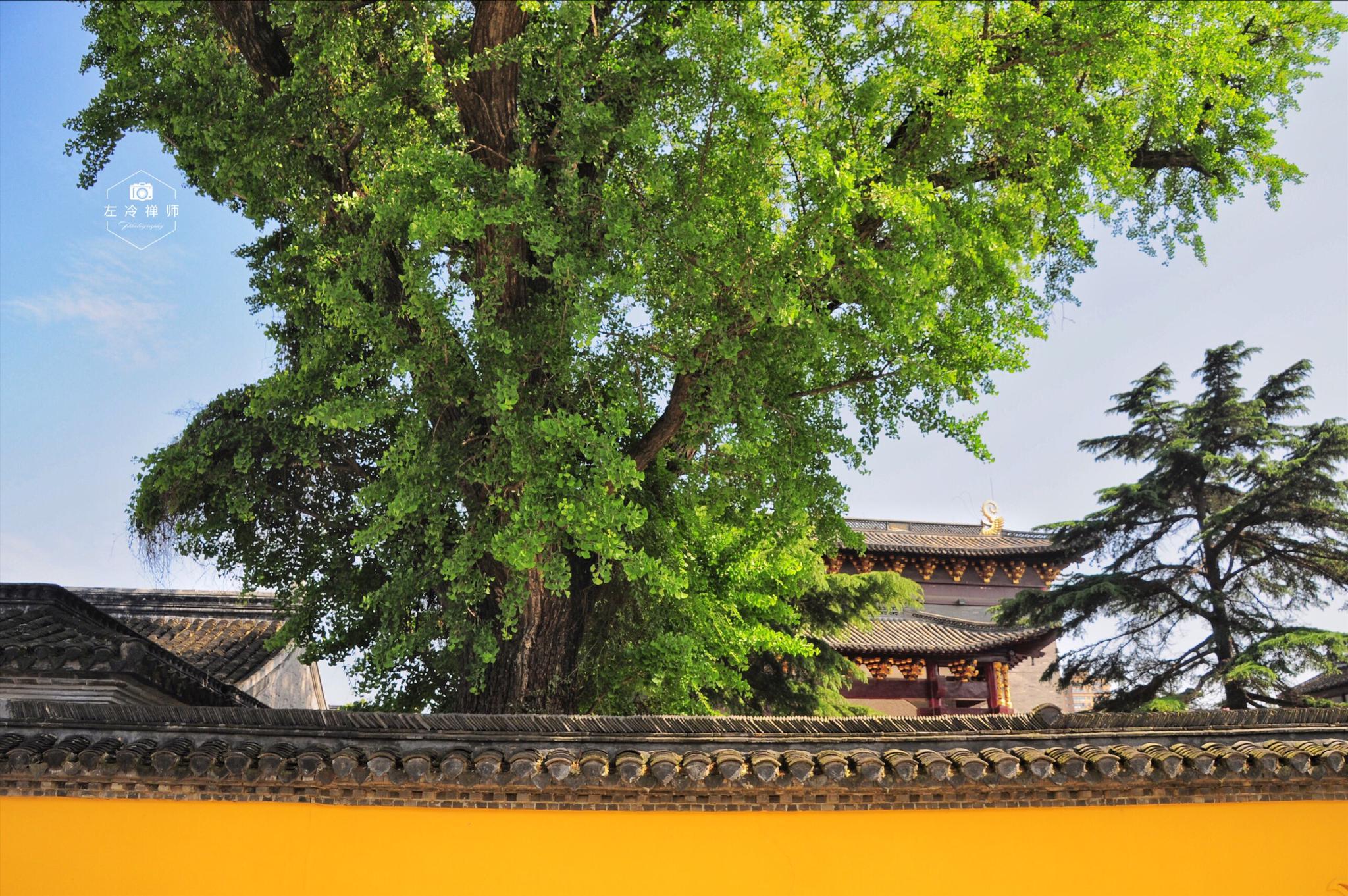 始建于隋朝的如皋定慧寺是一座碧水环寺、山门北向、丹楼抱殿的千年古|定慧寺|山门|如皋|微旅游|碧水_新浪新闻