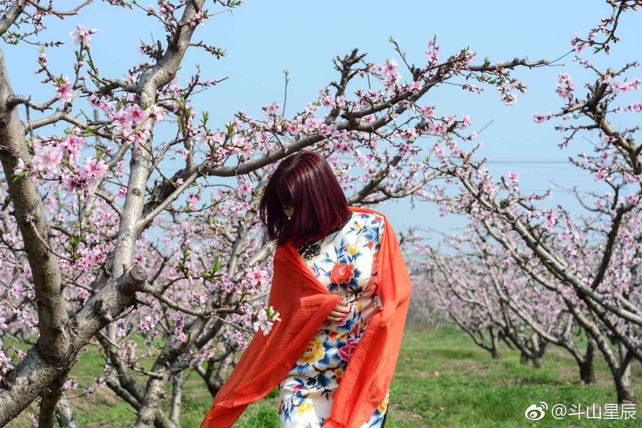 美丽桃花源_新浪看点