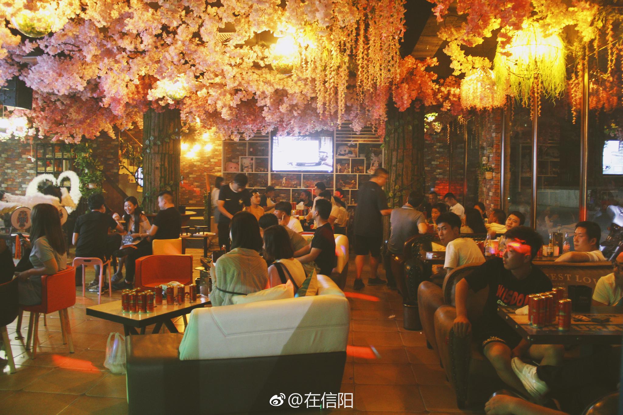 Freestyle清吧:浪漫樱花下跟好友约个酒!更有30瓶干红要送出|干红|好友|浪漫樱花_新浪新闻