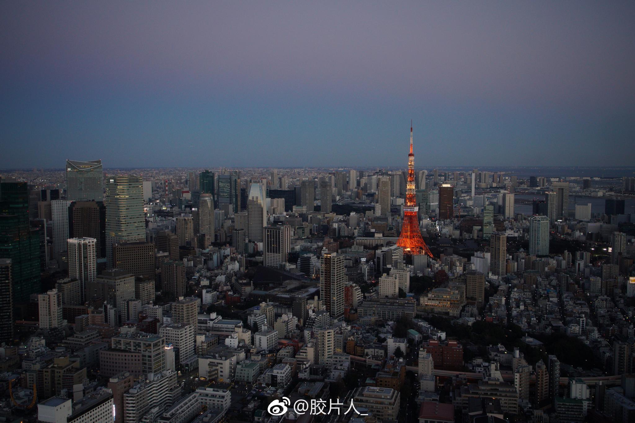 “陪你远看东京铁塔的四季”