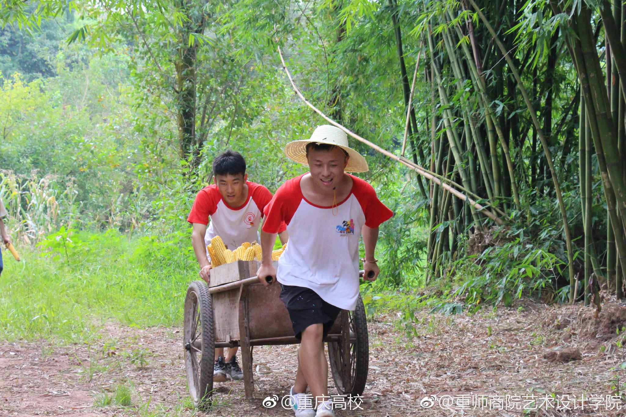 2018重庆大学生三下乡照片分享，一起相约掰包谷