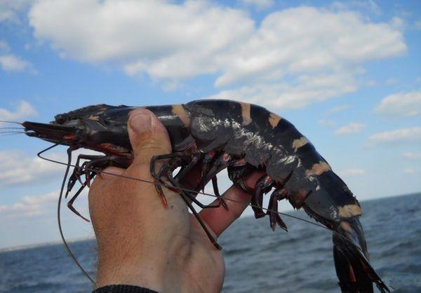 @用户iue9mwzwuy 的个人主页 - 微博