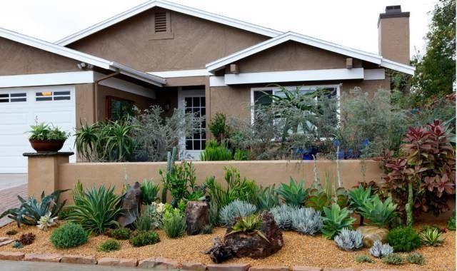 美爆了这可能是最全的多肉植物庭院景观让你心动不止一万次