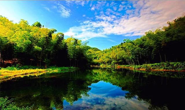 终于要通高铁了!四川这座森林城市,距你只有1h!美景美食无敌了