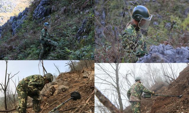 触目惊心云南排雷一线每天都会挖出这么多地雷