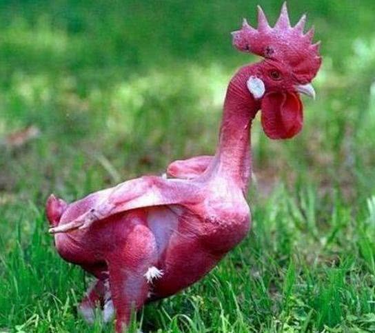 食而不胖-的微博_微博