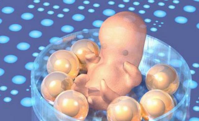 2个胚胎养囊胚的成功率是多少？2个胚胎养囊能成功几个插图