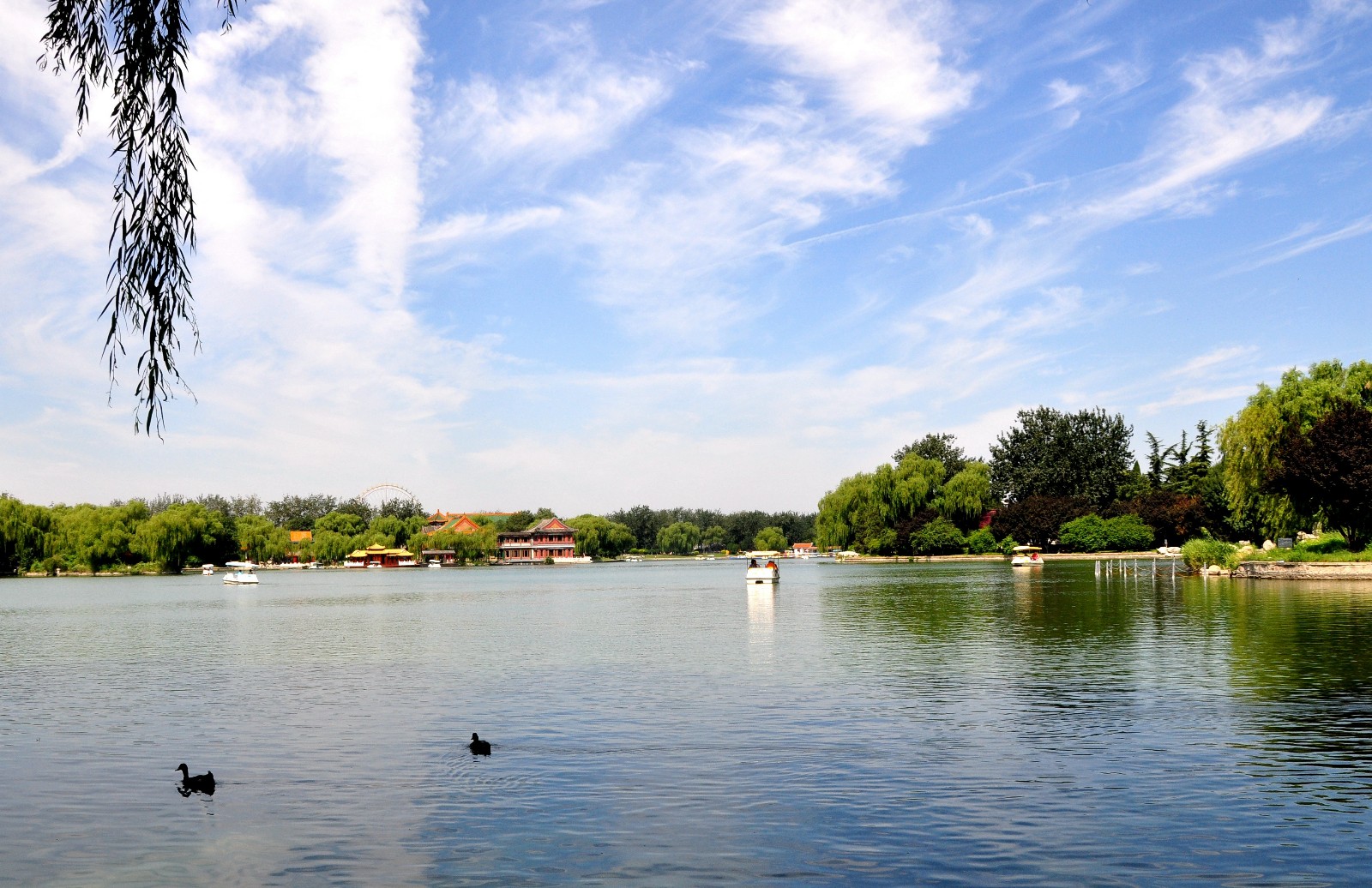 夏天的龙潭公园(北京)别有一番风味【原创摄影】