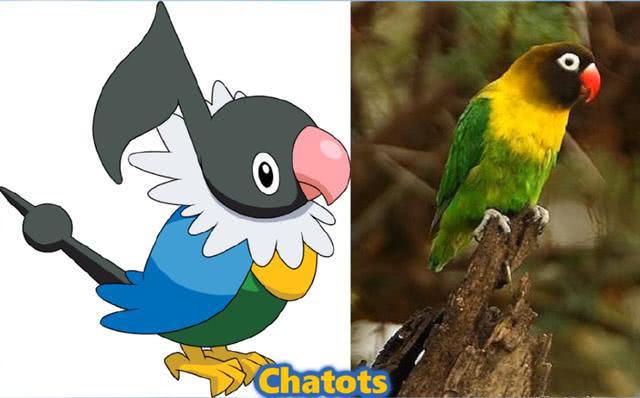 聒噪鸟"真实版"的神奇宝贝,网