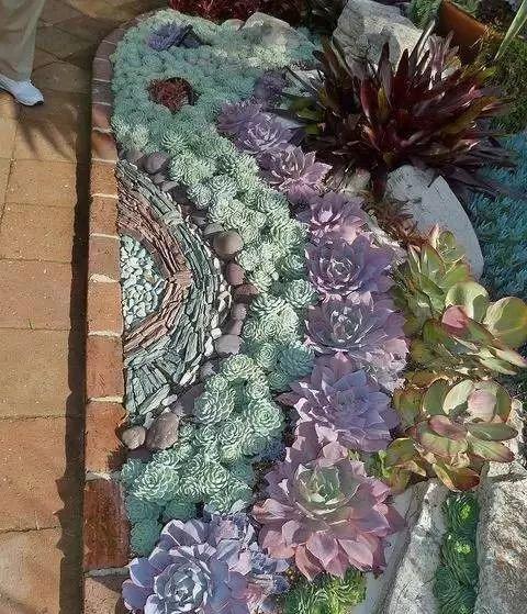 美爆了这可能是最全的多肉植物庭院景观让你心动不止一万次