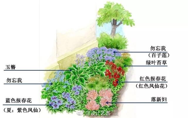 春季花境植物配置图片