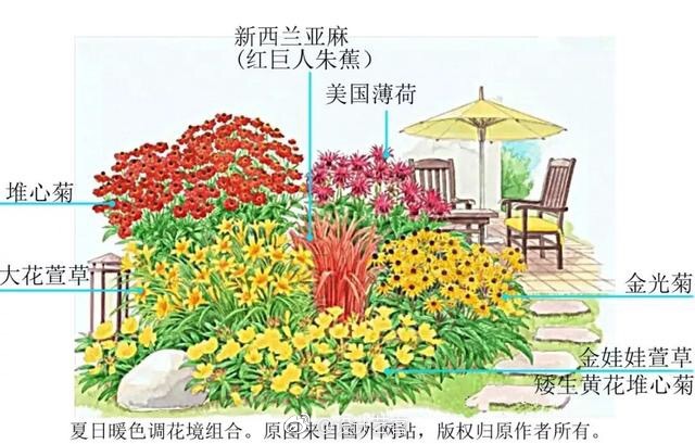 花境庭院的植物搭配图解…