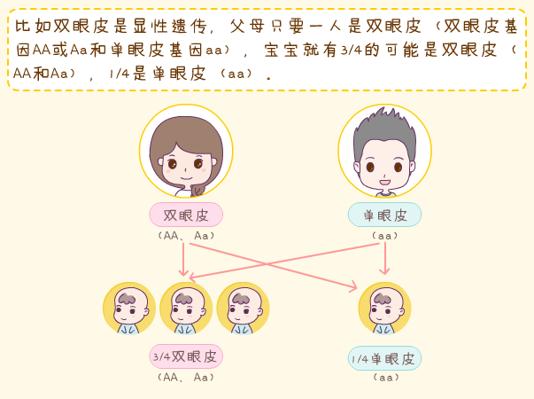 遗传|宝宝|单眼皮_新浪新闻