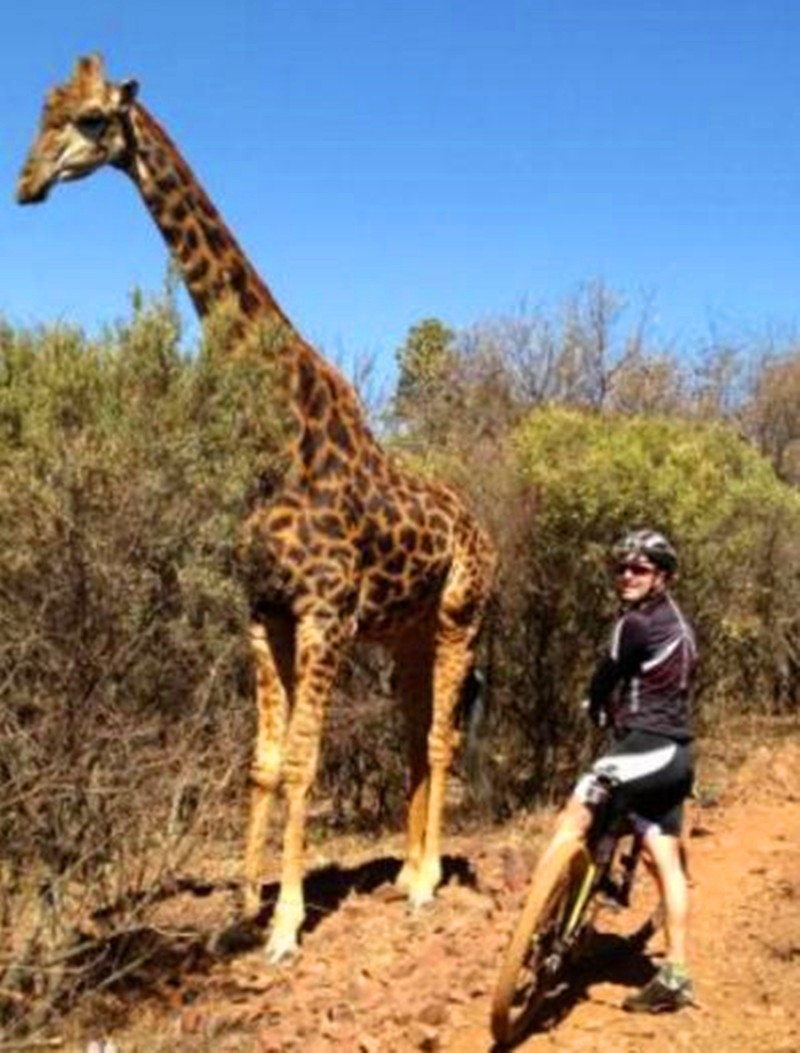 男子骑行偶遇长颈鹿,不料兴奋合影时惹怒了它,连忙扔下车跑_新浪看点