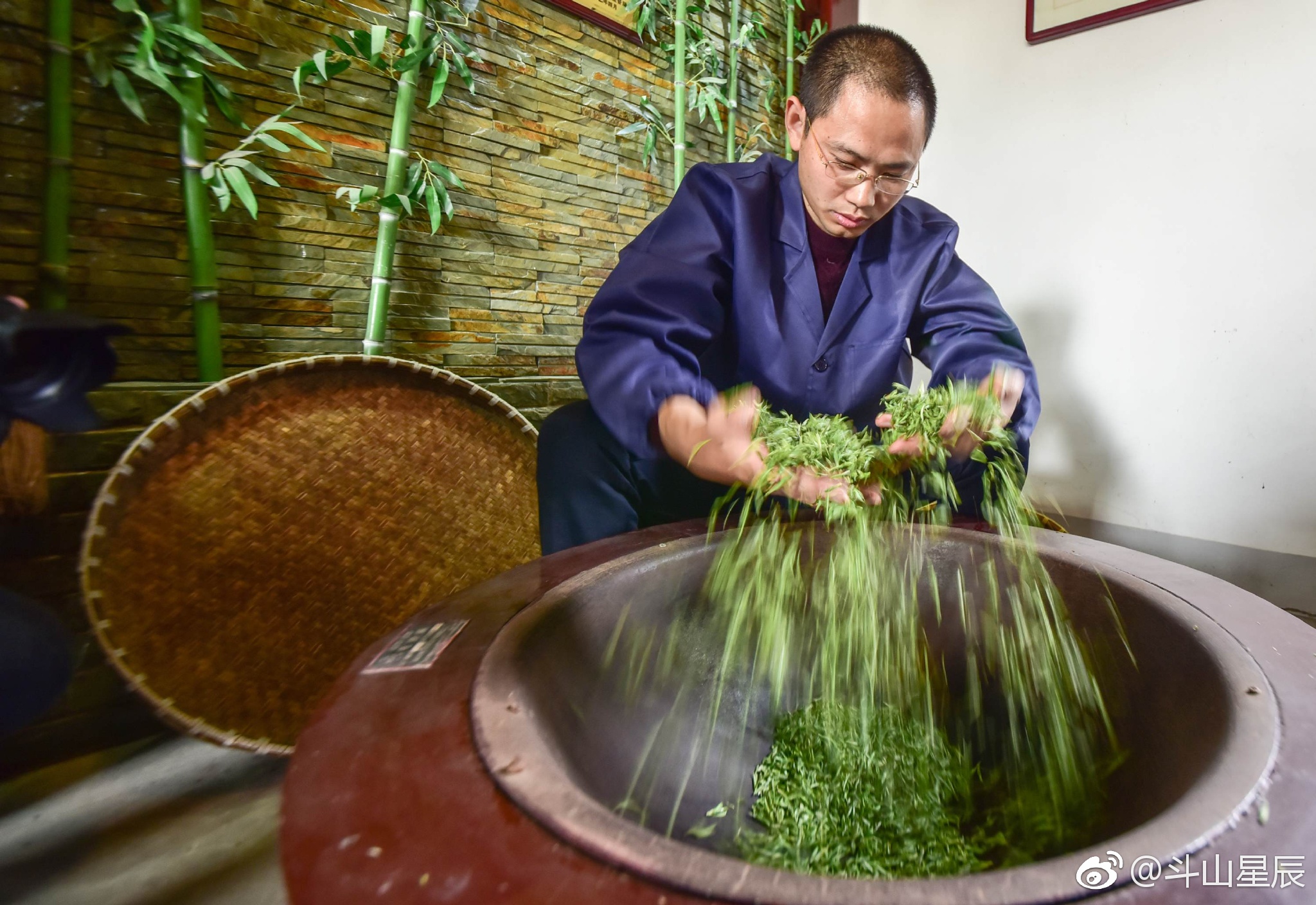 斗山茶叶全面开采|斗山|炒茶|陆伟_新浪新闻